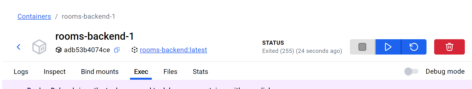 Docker Desktop - Exec